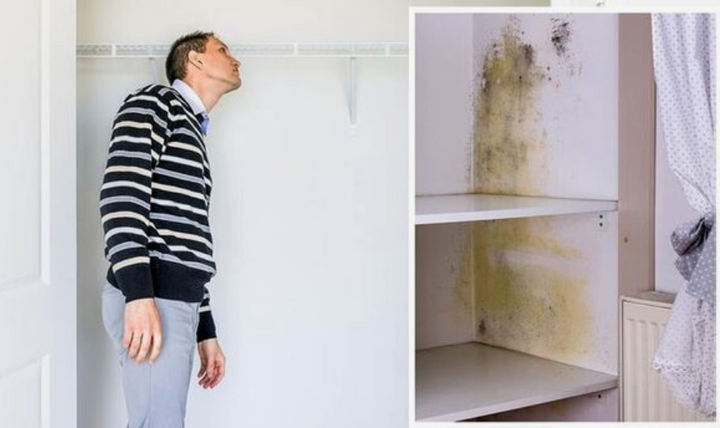 Tips to Prevent Mould in Your Wardrobe