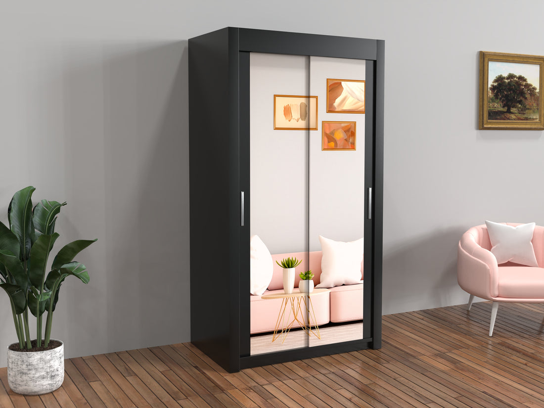Black wardrobe with glass doors in a room with a pink sofa and plant.